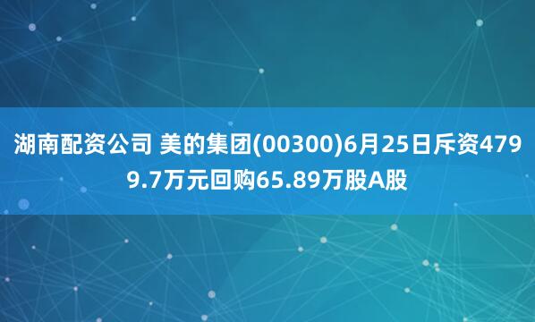 湖南配资公司 美的集团(00300)6月25日斥资4799.7万元回购65.89万股A股