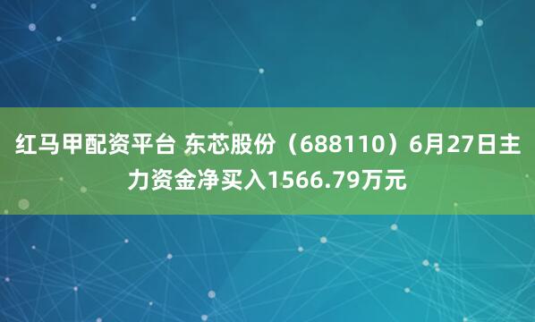 红马甲配资平台 东芯股份（688110）6月27日主力资金净买入1566.79万元