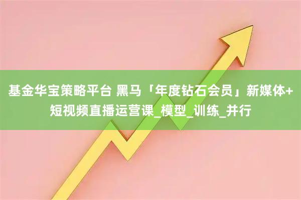 基金华宝策略平台 黑马「年度钻石会员」新媒体+短视频直播运营课_模型_训练_并行
