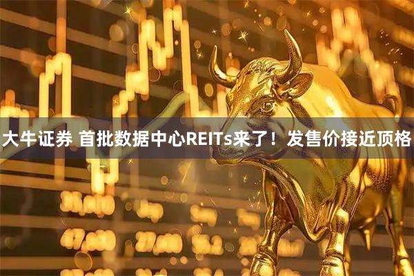 大牛证券 首批数据中心REITs来了！发售价接近顶格