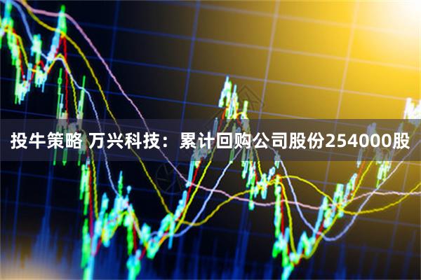投牛策略 万兴科技：累计回购公司股份254000股
