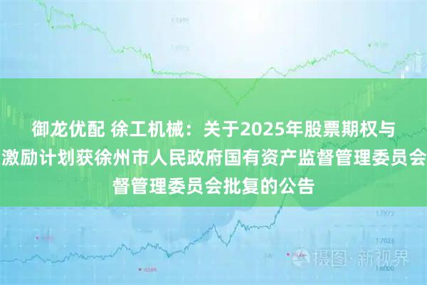 御龙优配 徐工机械：关于2025年股票期权与限制性股票激励计划获徐州市人民政府国有资产监督管理委员会批复的公告